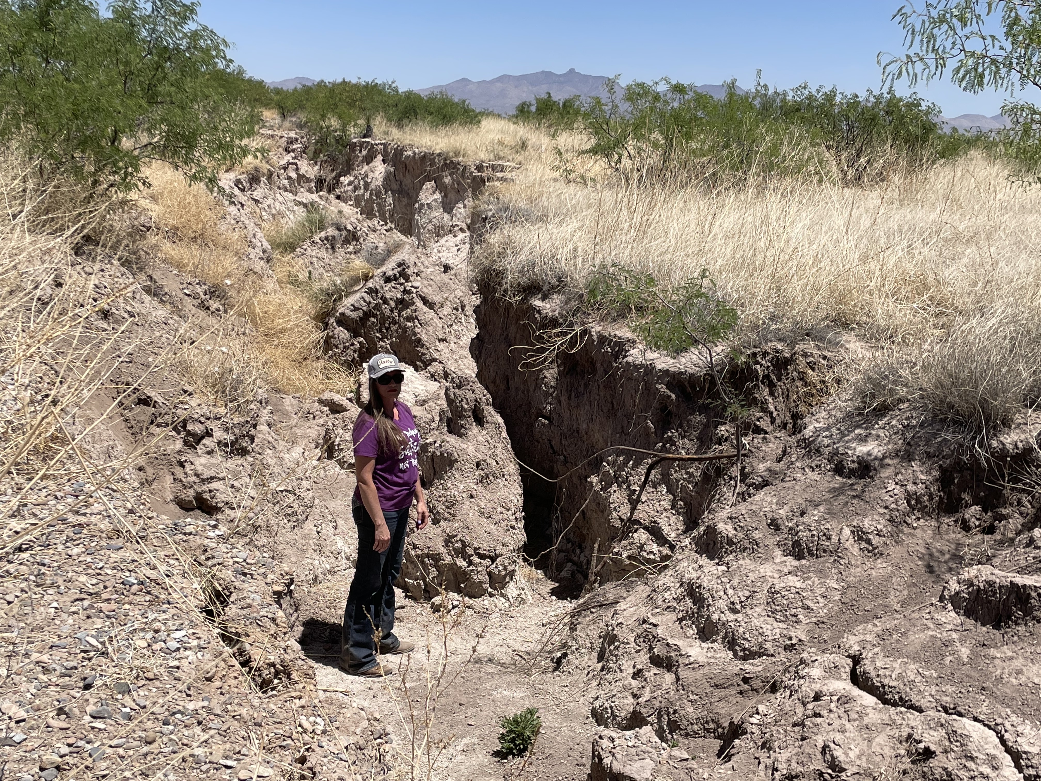 Deepening fissures define rural southern Arizona's fight over groundwater rules - Vimarsana News