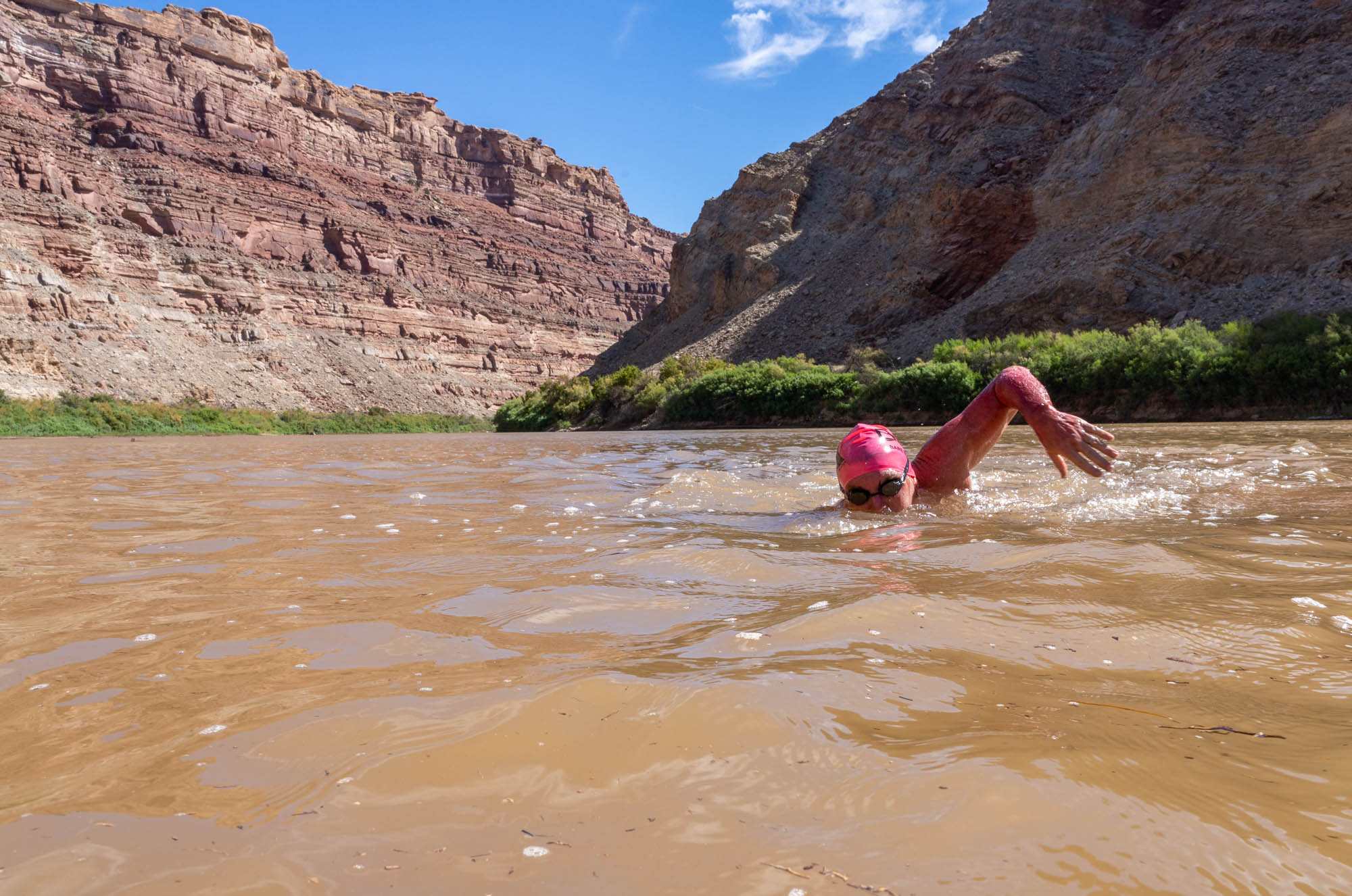 Matt Moseley swam 47 miles of the Colorado River. His new book explains his connection to the water - Vimarsana News