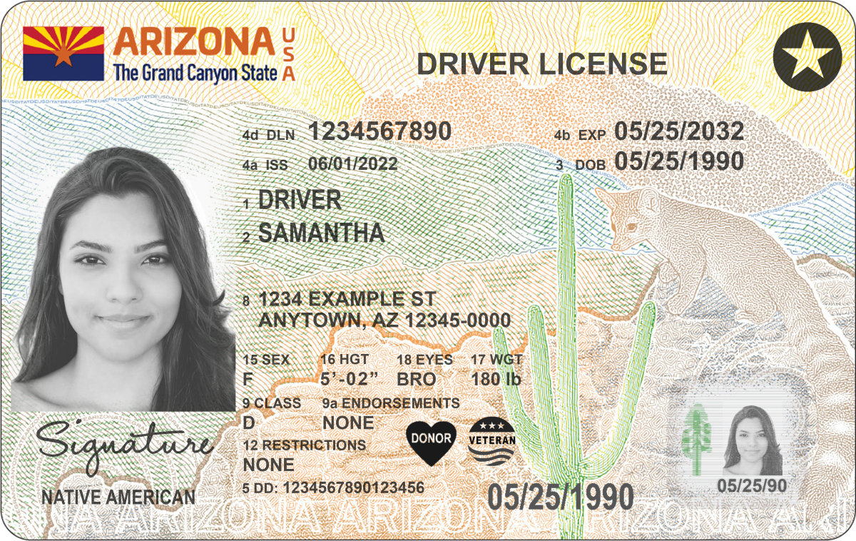 arizona tobacco license New tribal designation on Arizona IDs is making some 'feel safer' amid ICE  raids