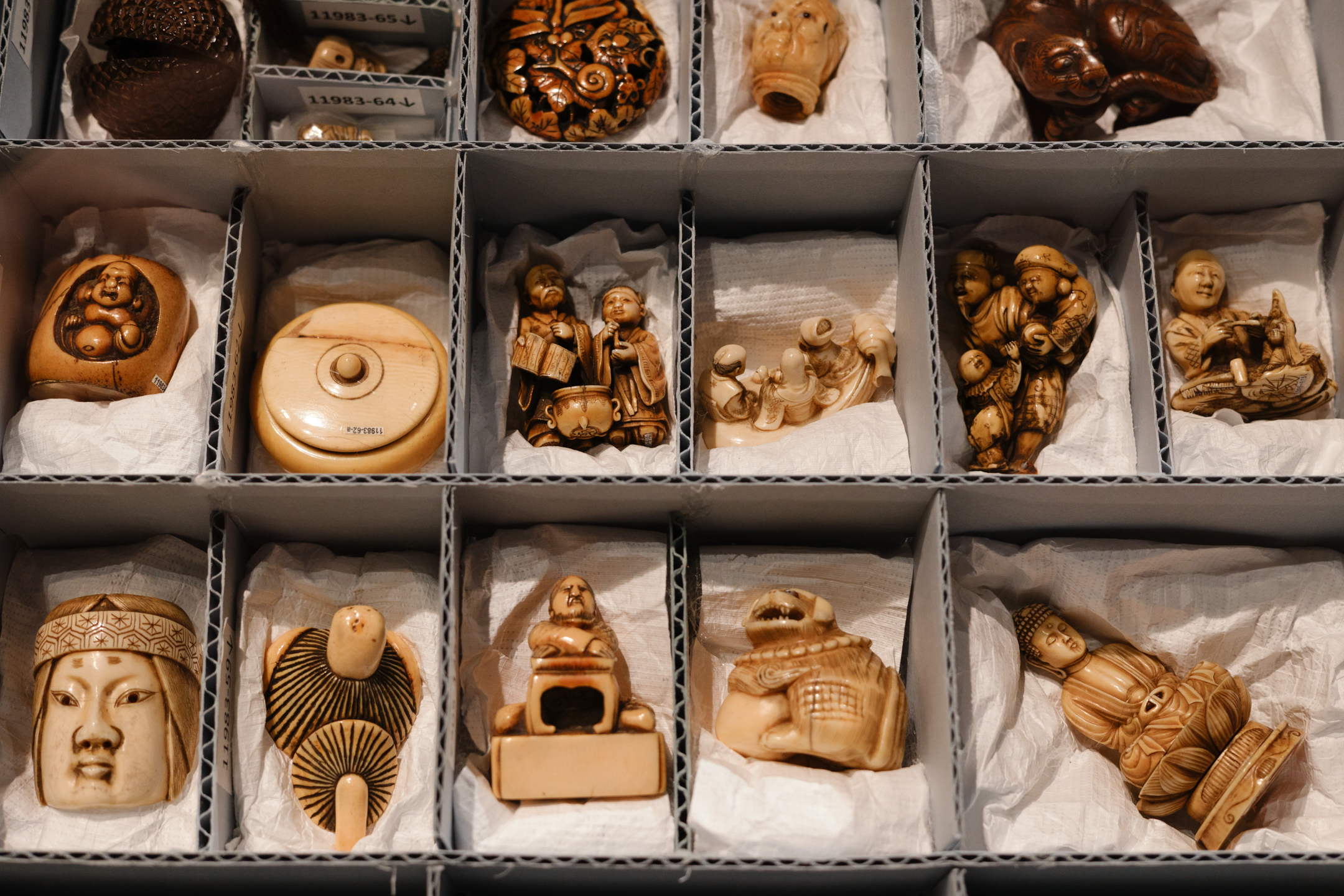 Carnegie Museum of Natural History's latest Stories-We-Keep