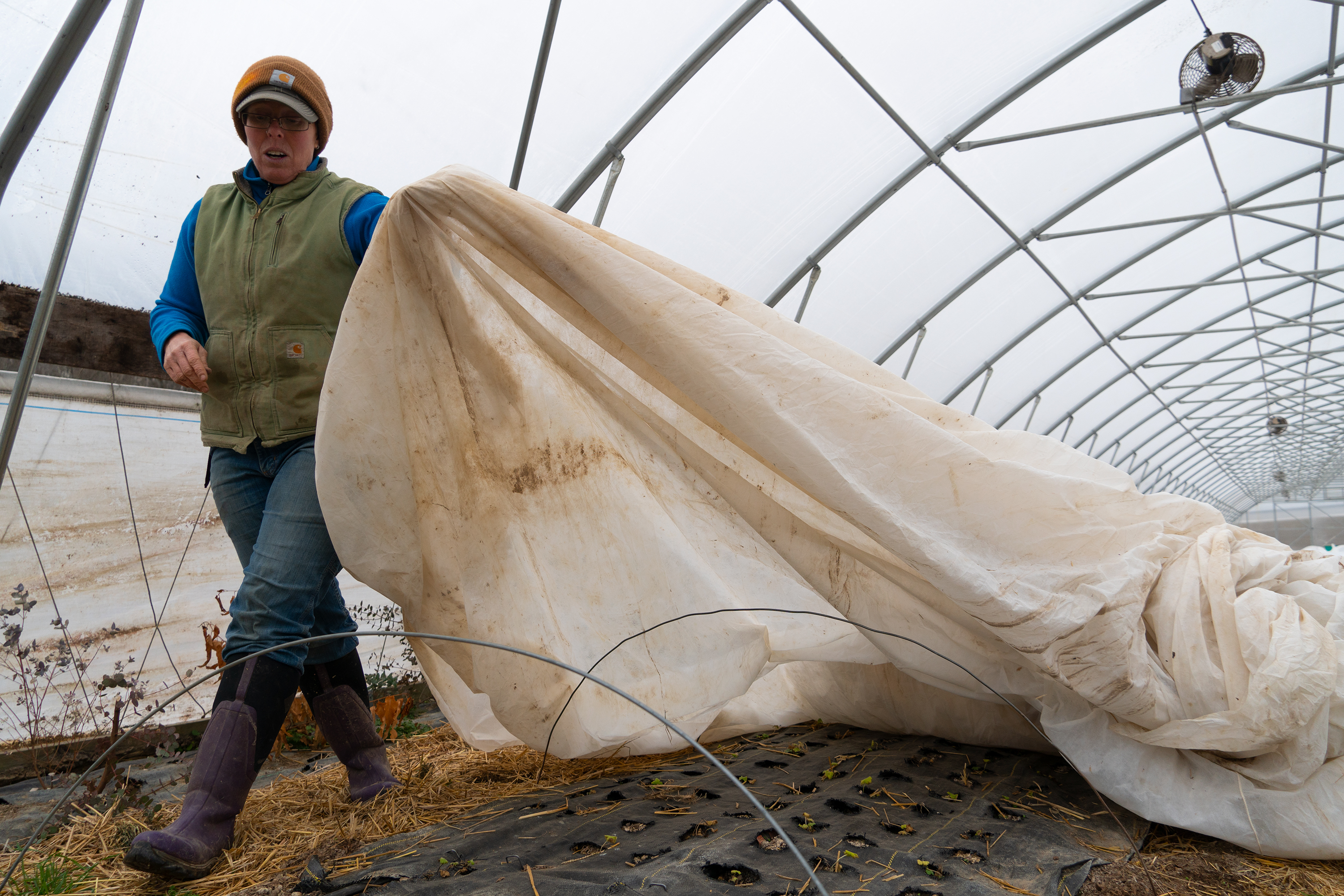 Liz Graznak covers tiny flower seedlings inside a greenhouse at her farm near Columbia, Missouri.