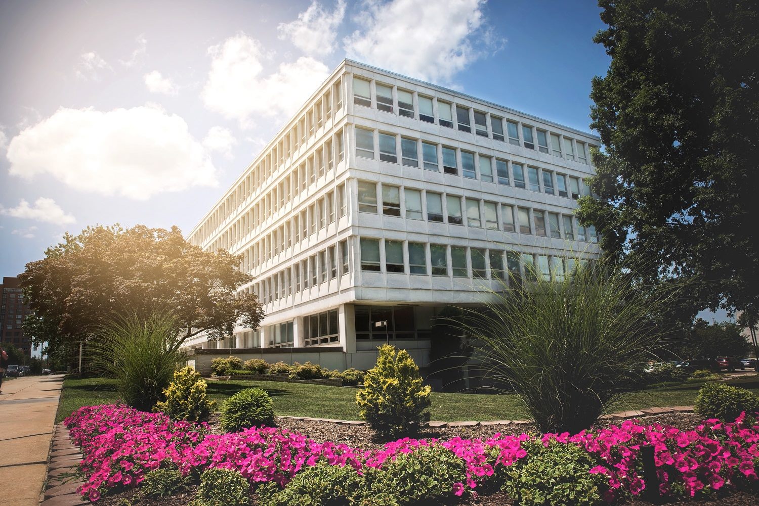 State of North Carolina office