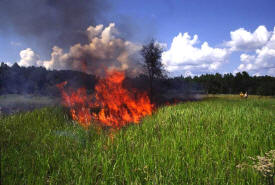 Wildland firefighters use small fires to avoid big ones and help the environment - Vimarsana News
