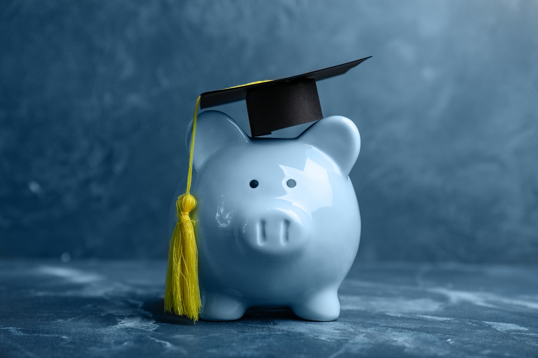 Florida high school students may soon be required to learn about personal finance - Vimarsana News