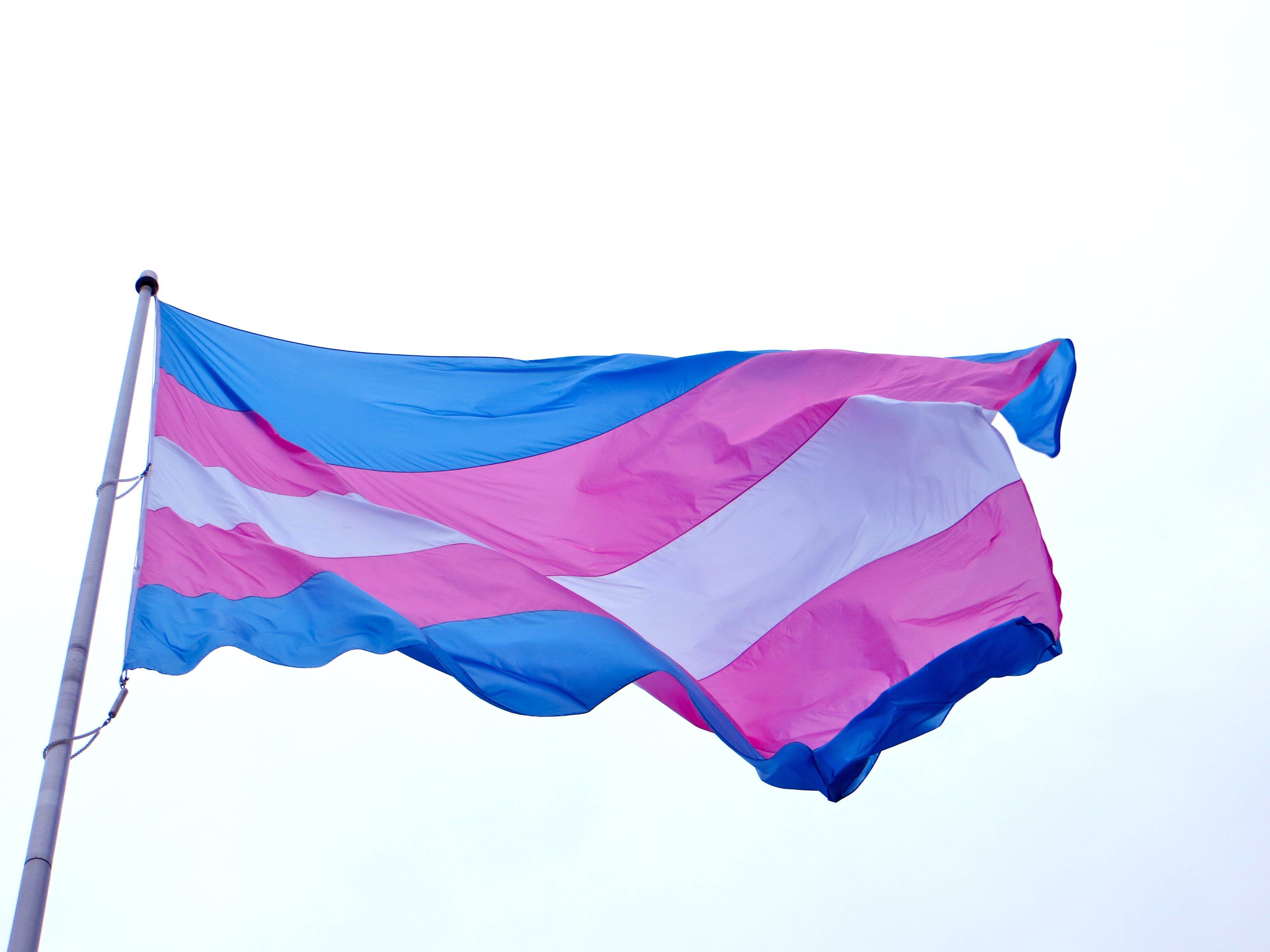 Anti-trans legislation brings up trans myths, government intrusion - Vimarsana News