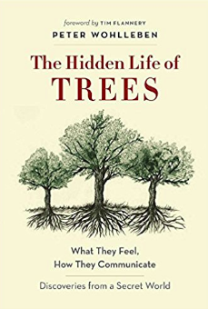 Book Club Past Read 12