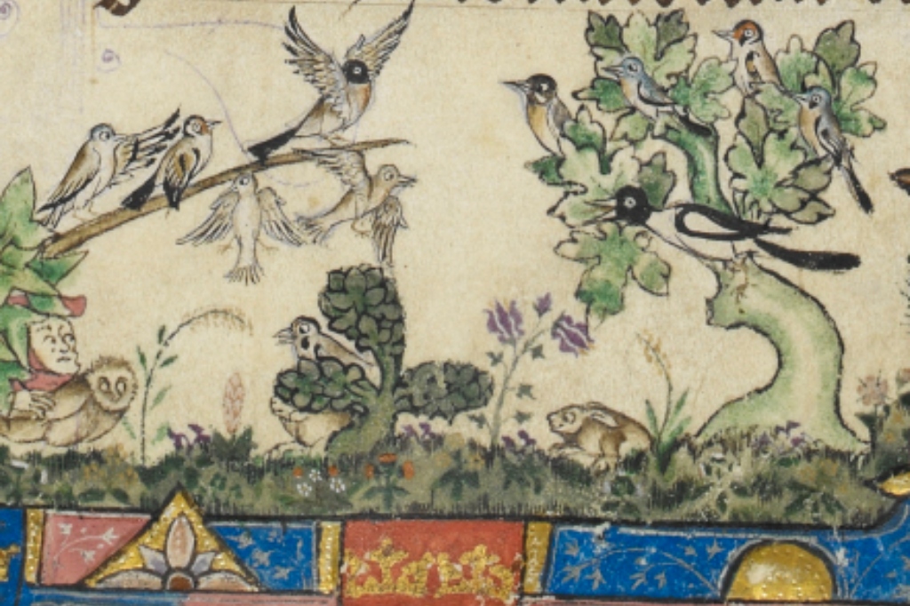 Counterpoint of the Animals