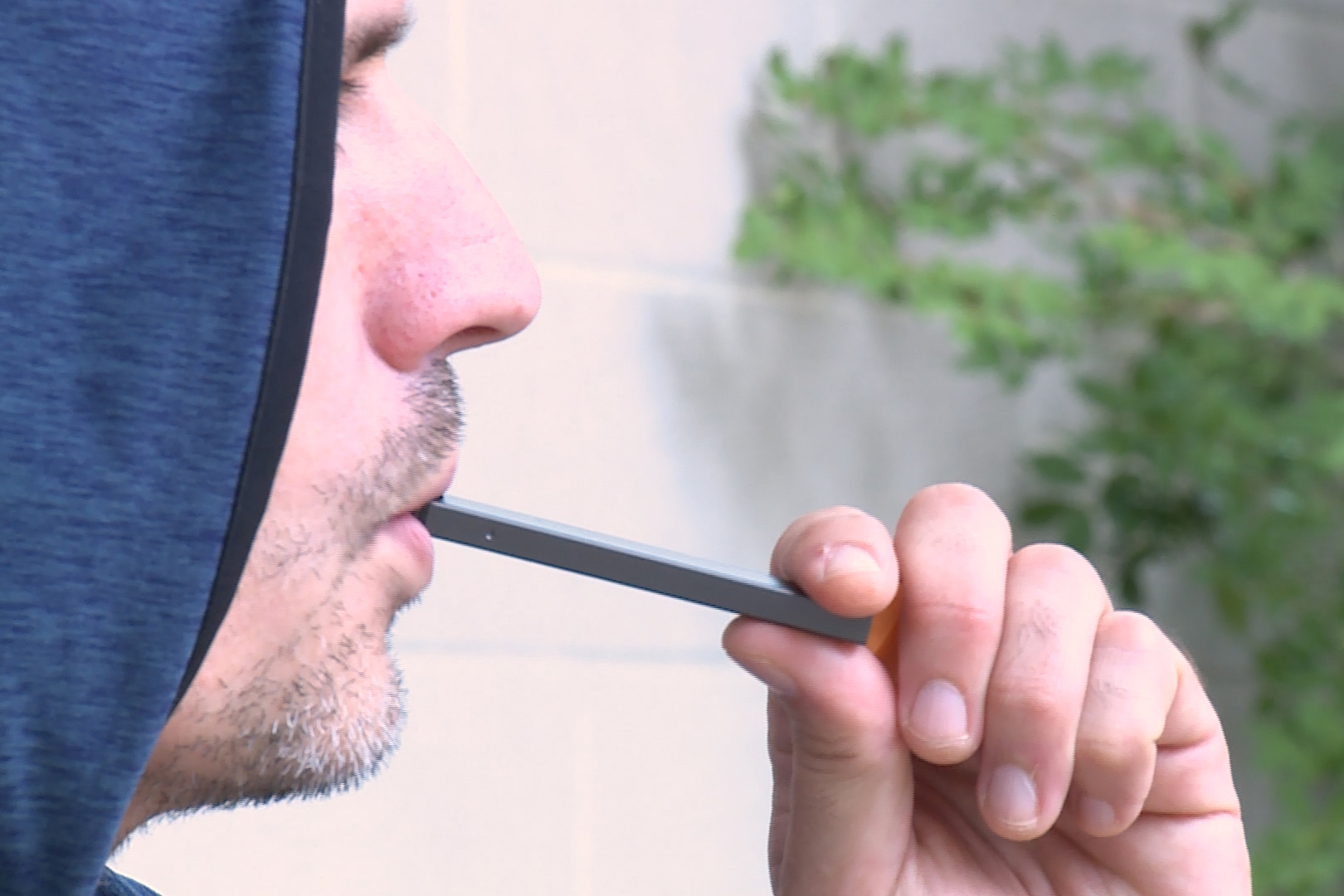 iu tobacco free affidavit Students potentially unaware of IU smoking regulations, lack of productive  enforcement