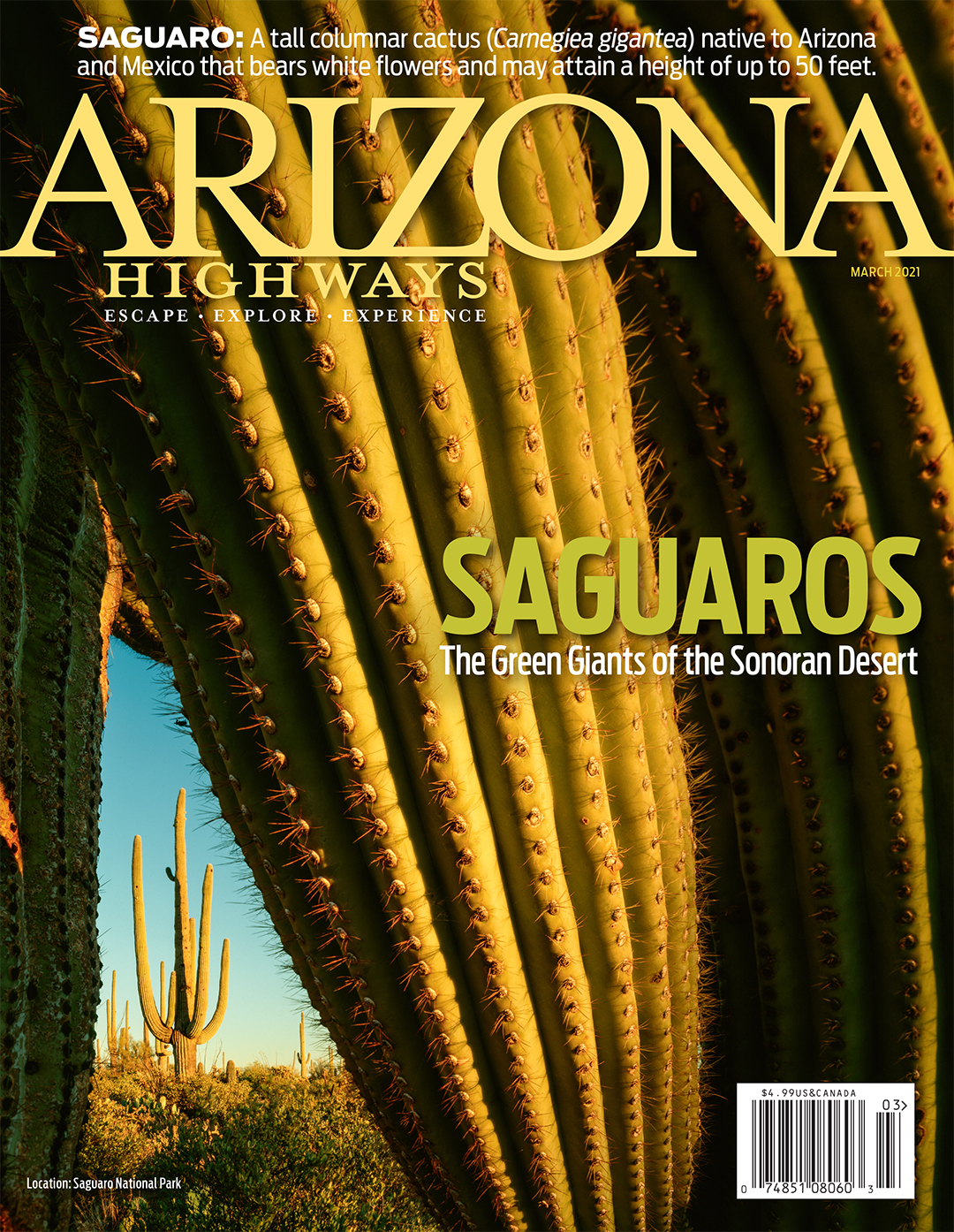 AZ Highways Spotlights Iconic Saguaro Cactus In March Edition
