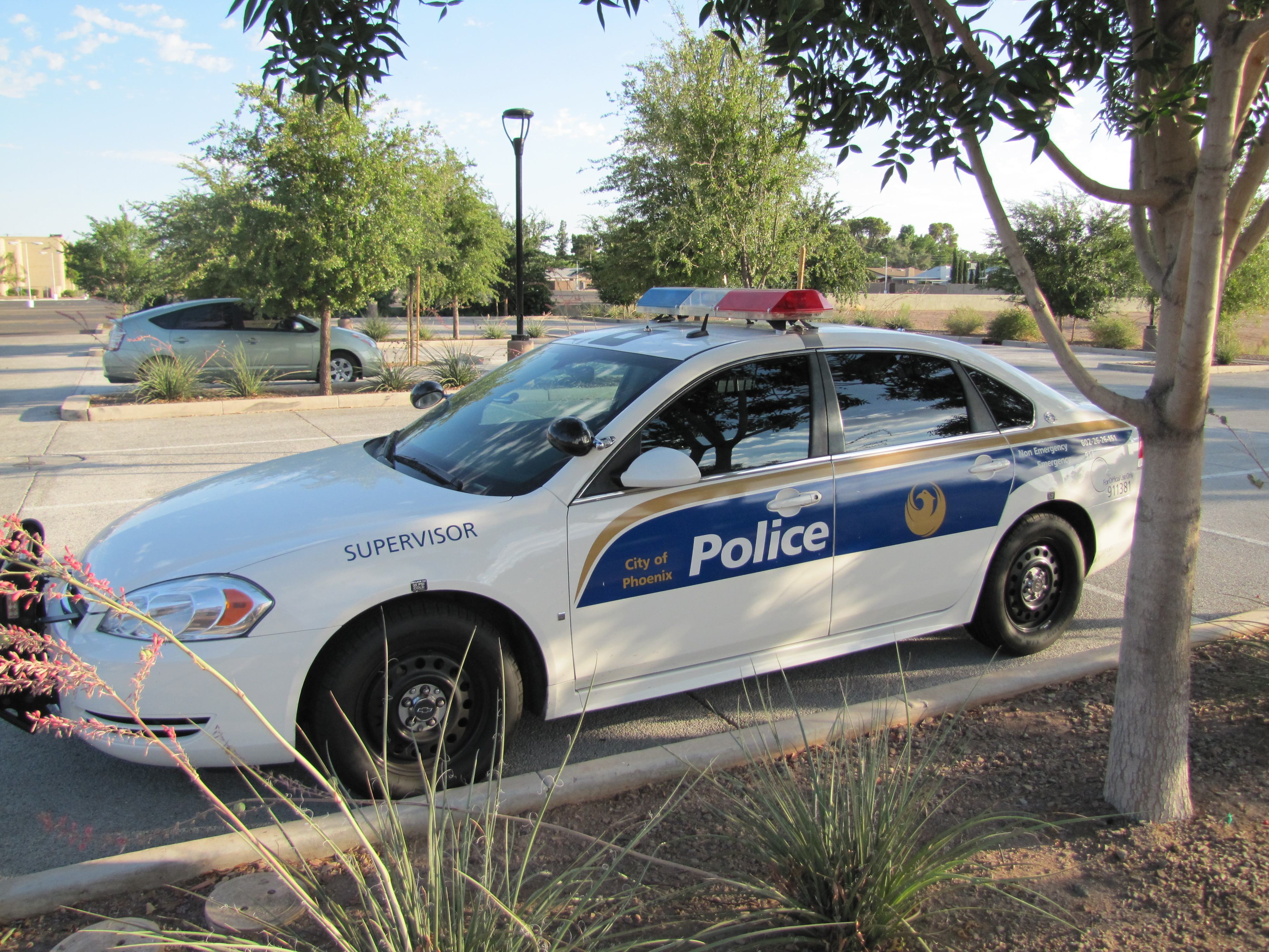 Phoenix Police Car