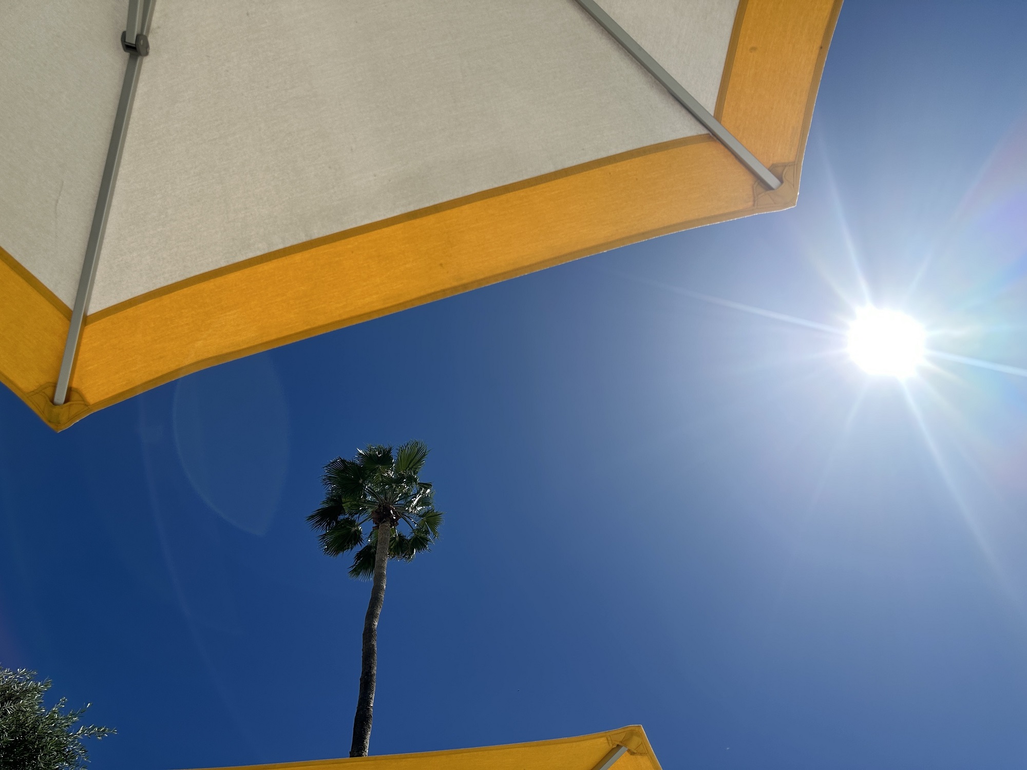US Extreme Heat Warning: Temperatures Forecast to Reach 117 Degrees