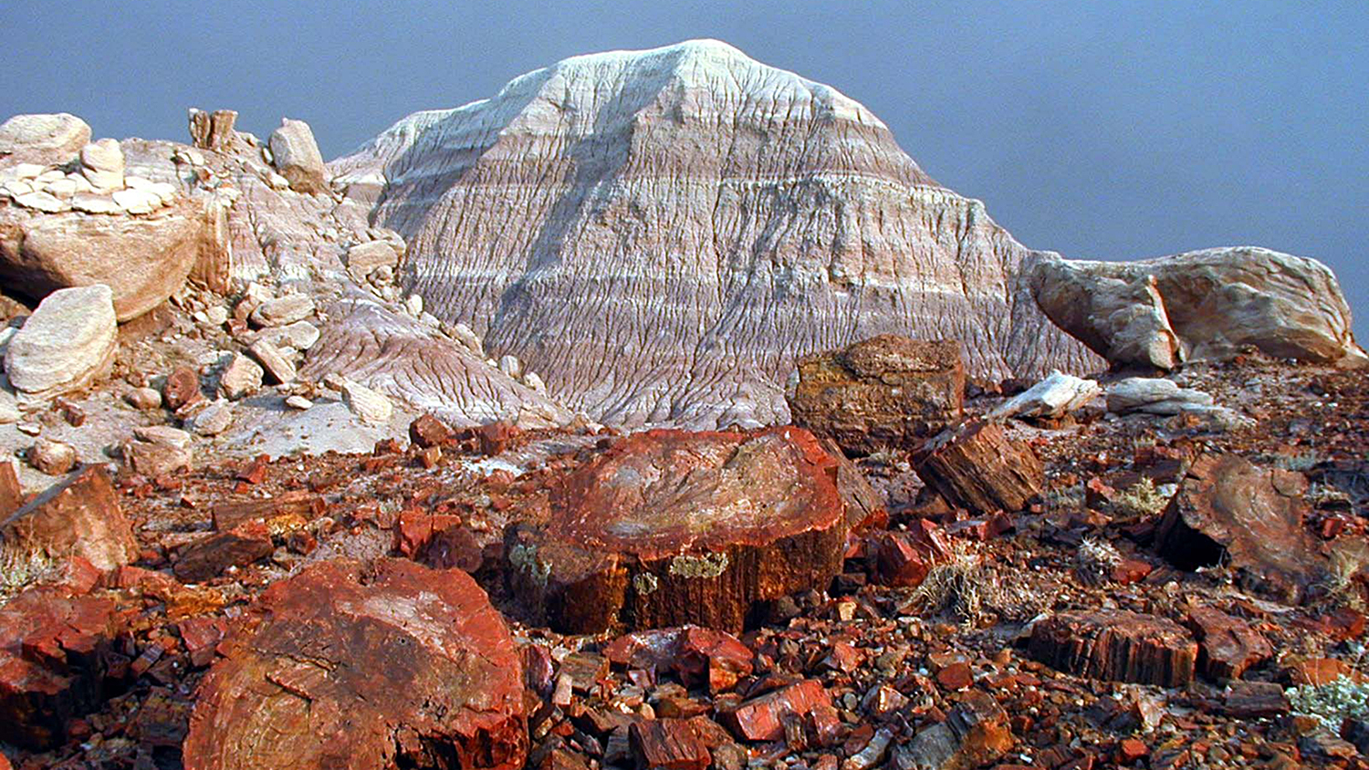 petrified-forest-scenery-