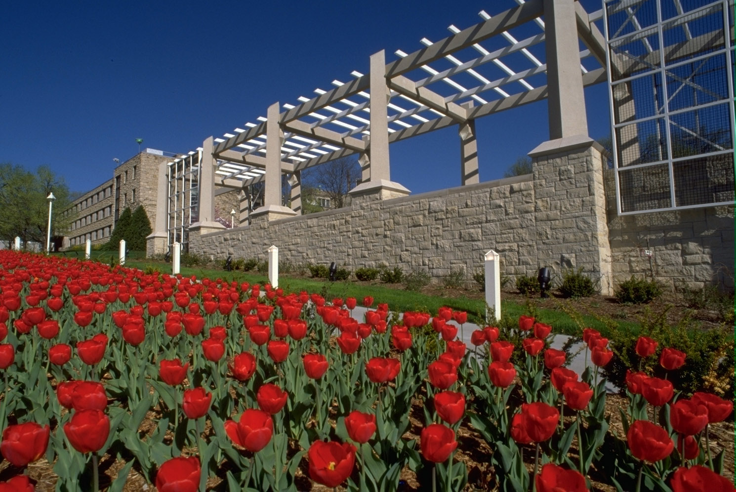 Rockhurst University Sues Its Insurance Company Over Coronavirus-Related  Losses