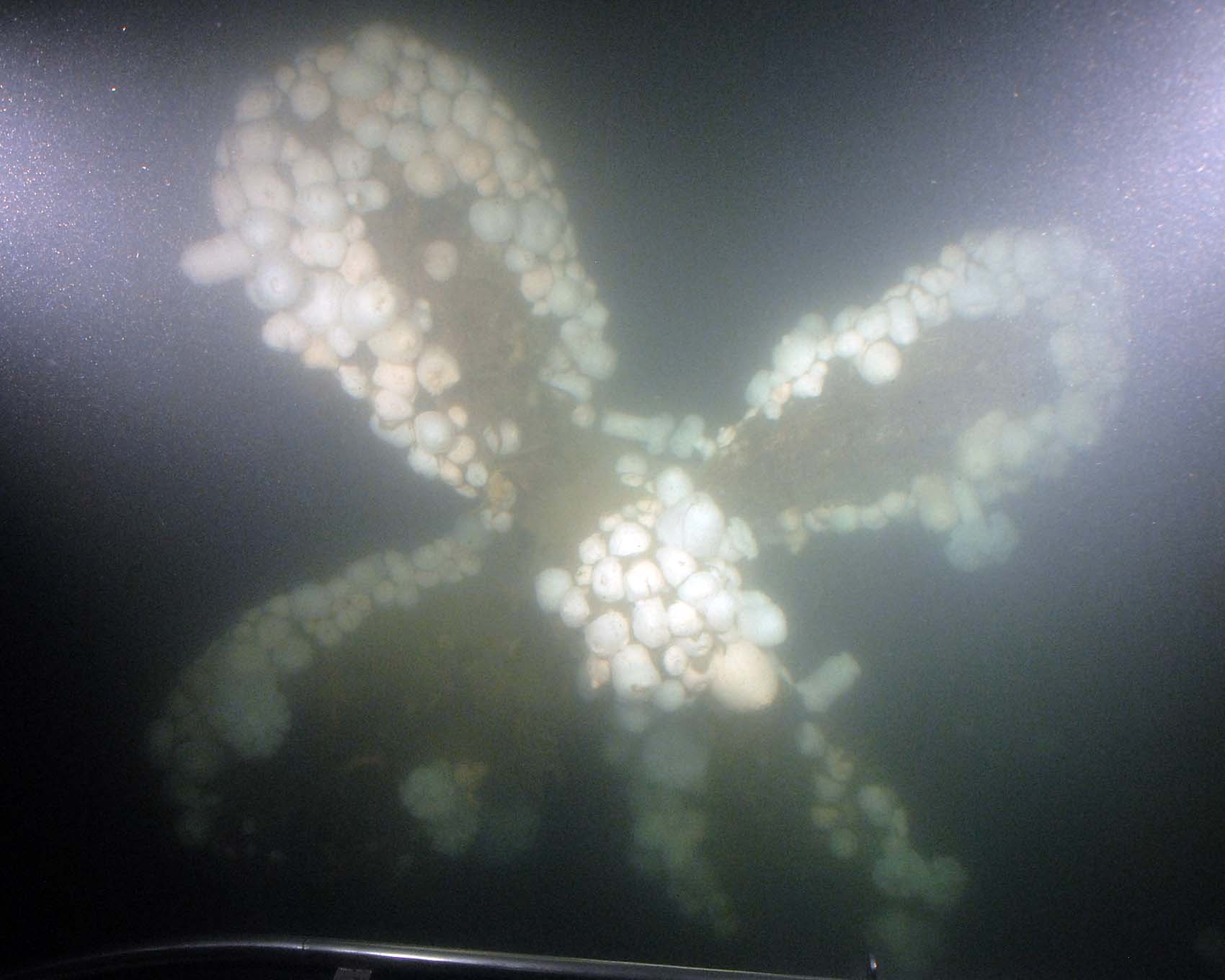 Diver's 20-year hunch turns up wreckage of century-old disaster