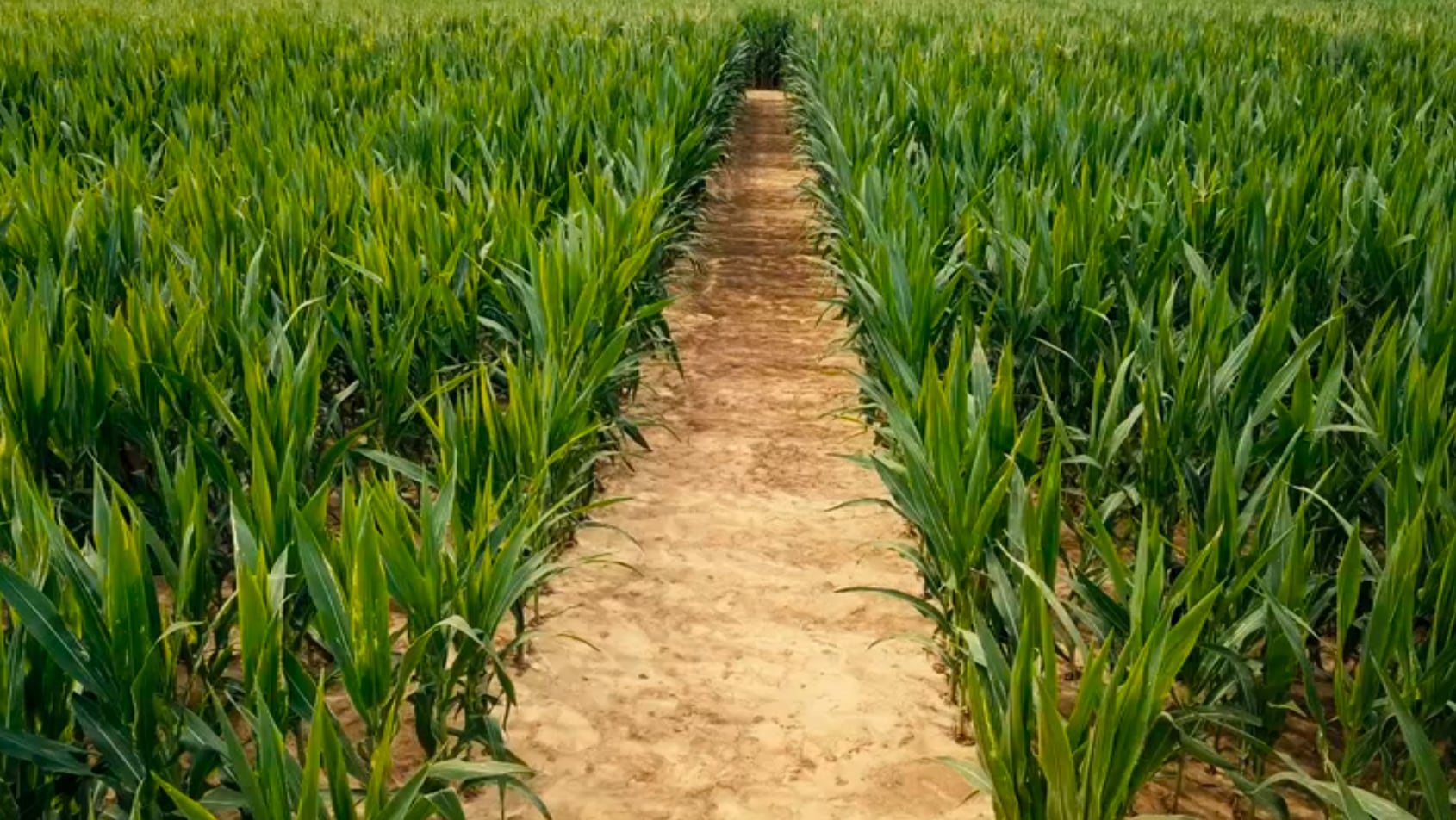 Arkansas Farm Bureau, Arkansas PBS Partner On New Series ...