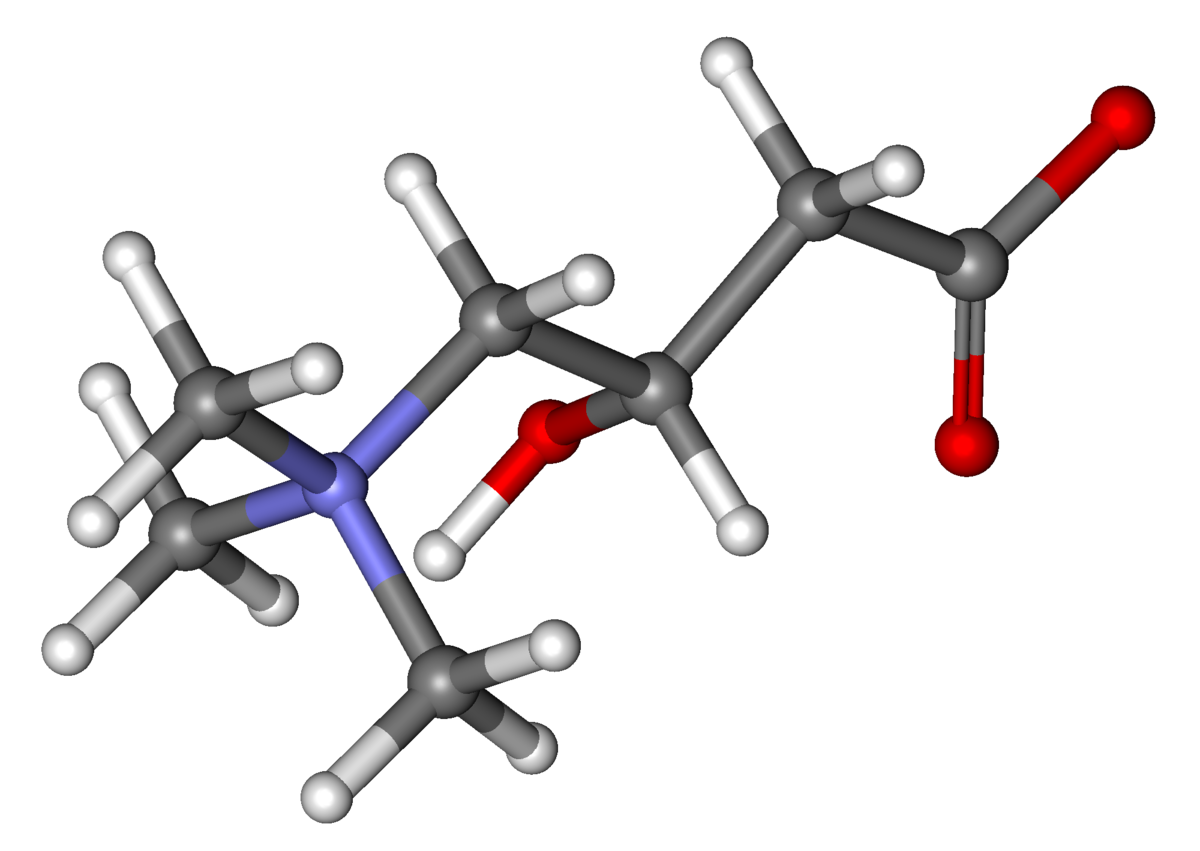 cardispan vs l carnitina Carnitine b12 vitamins size:240ml(4 x 60ml) Rat Glutathione Peroxidase (Gsh-Px)