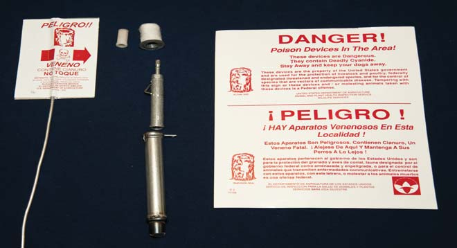 Predator-Killing 'Cyanide Bombs' Under Review In Colorado
