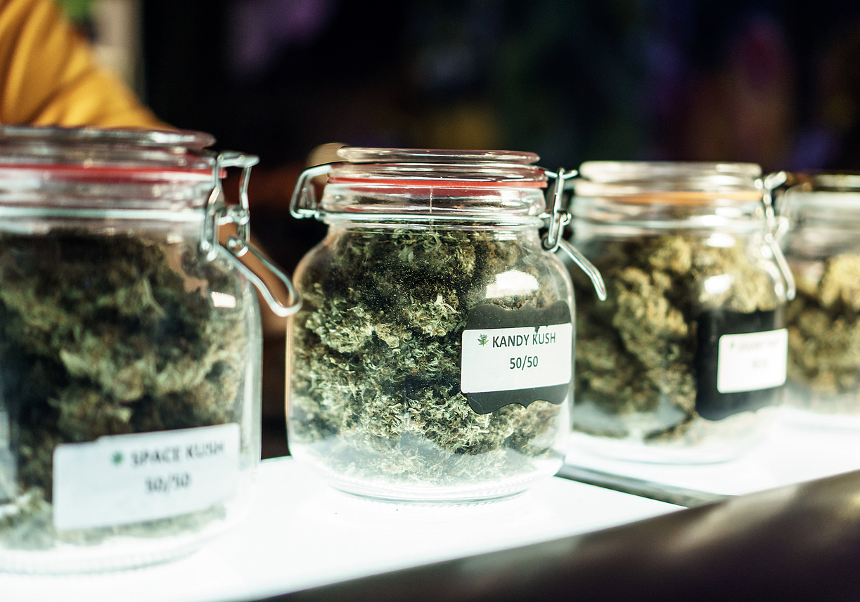 Court rules Great Falls can't ban dispensaries without an election - Vimarsana News