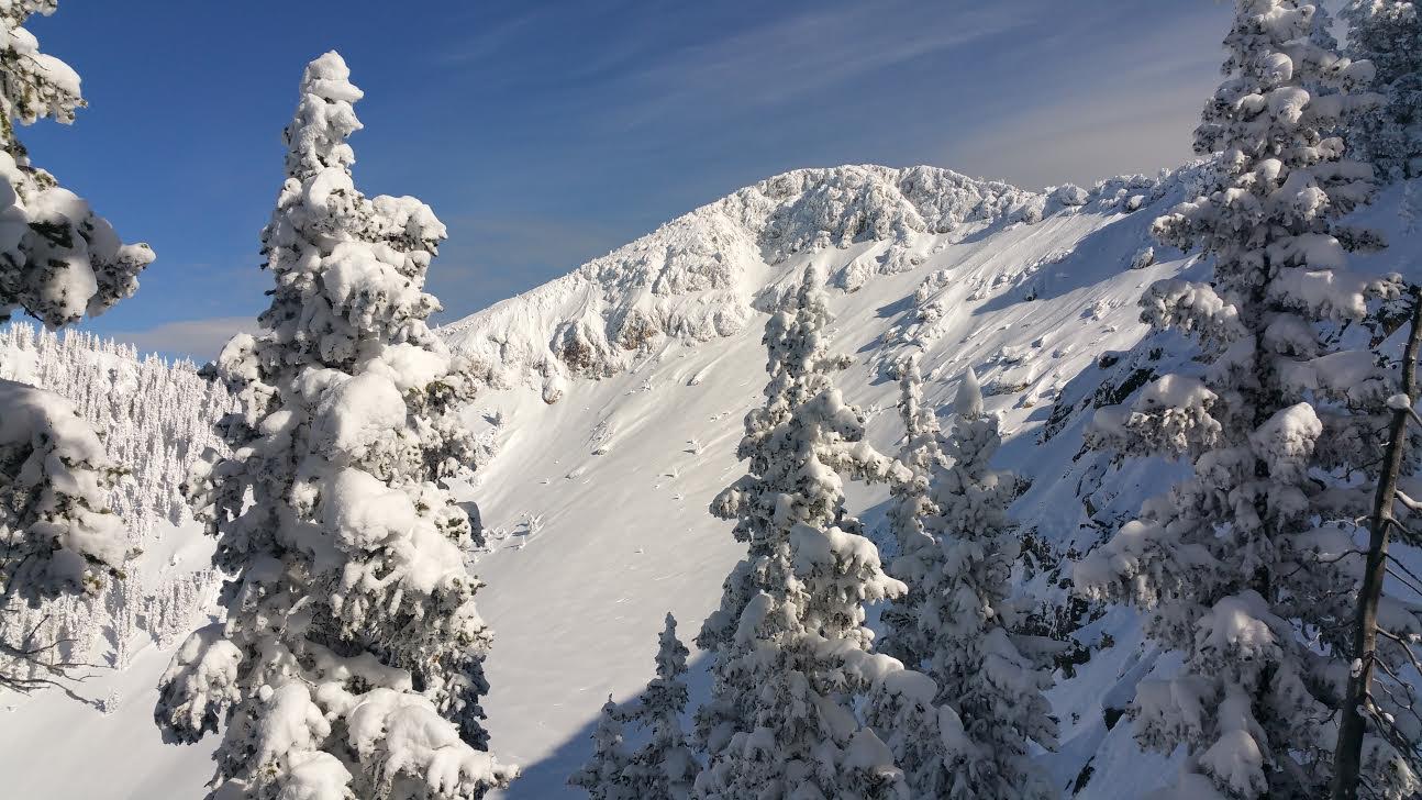 Denver's abridged winter mirrors a shortened snowpack season - Vimarsana News