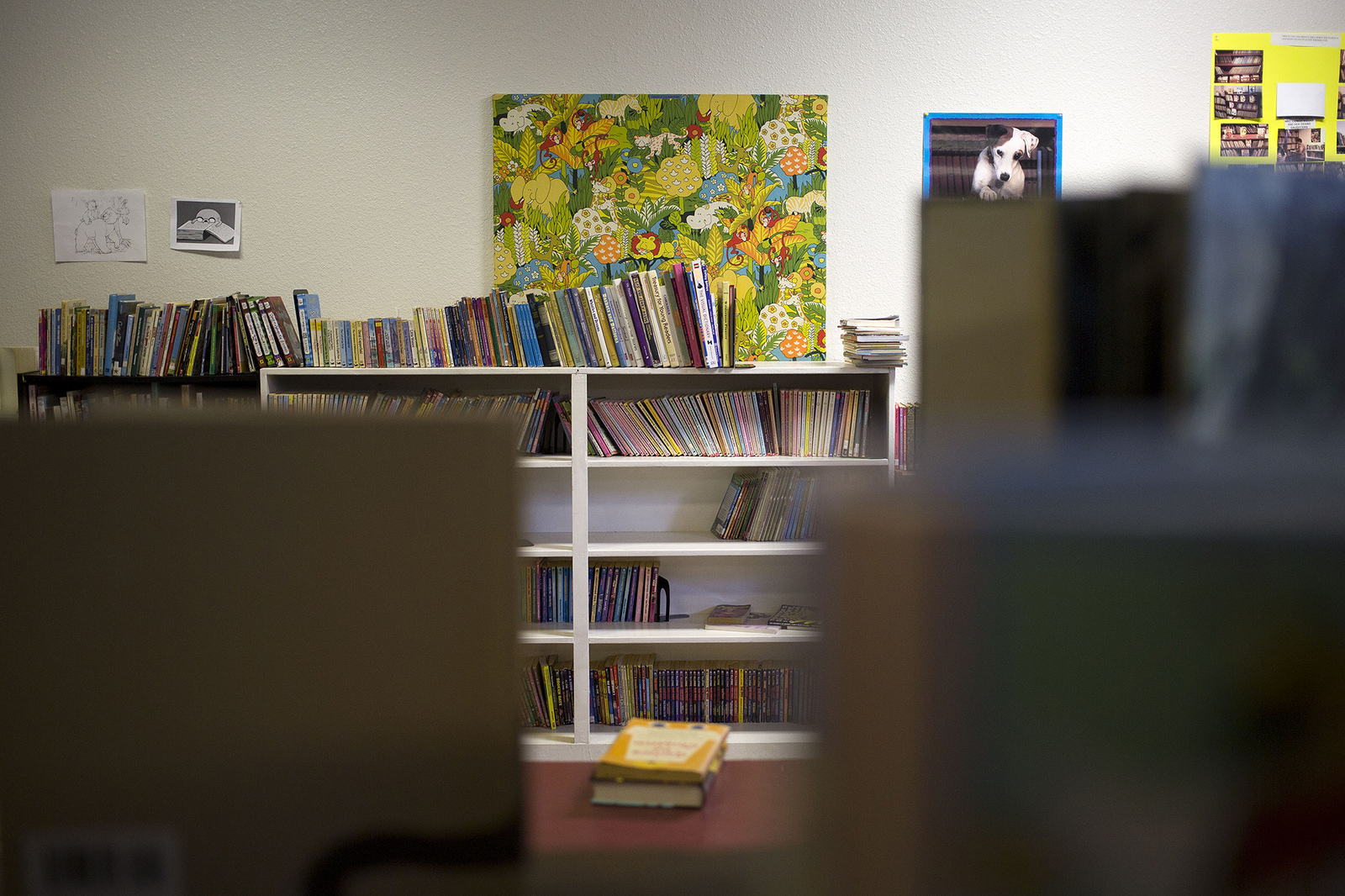 Texas lawmakers debate which books belong in school libraries - Vimarsana News