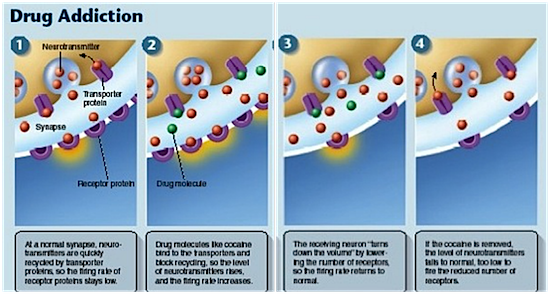 how many cigarettes a day is considered addiction On Science: Can you smoke cigarettes without becoming addicted?
