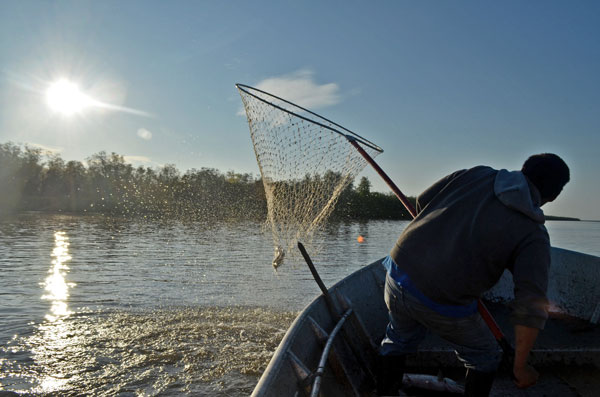 shakespeare ugly stik gx2 custom spinning combo 32