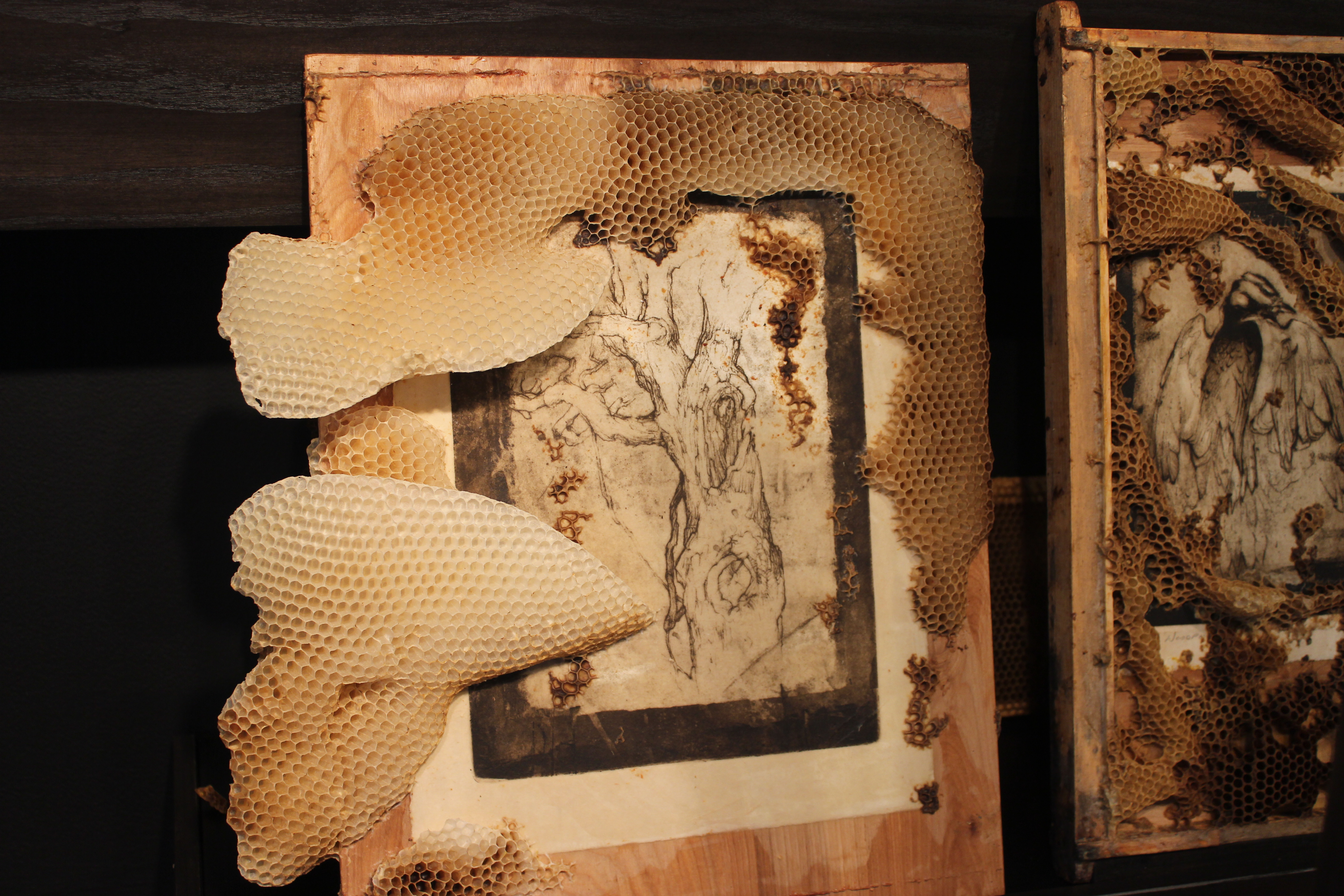 Honeybees collaborate with Kalamazoo artist on ArtPrize exhibit