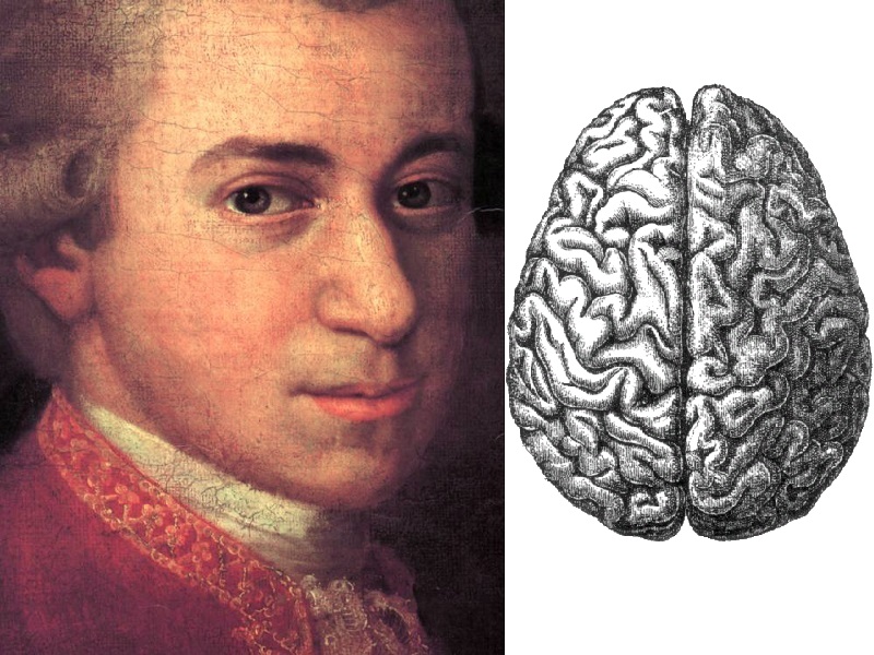 mozart_brain.jpg