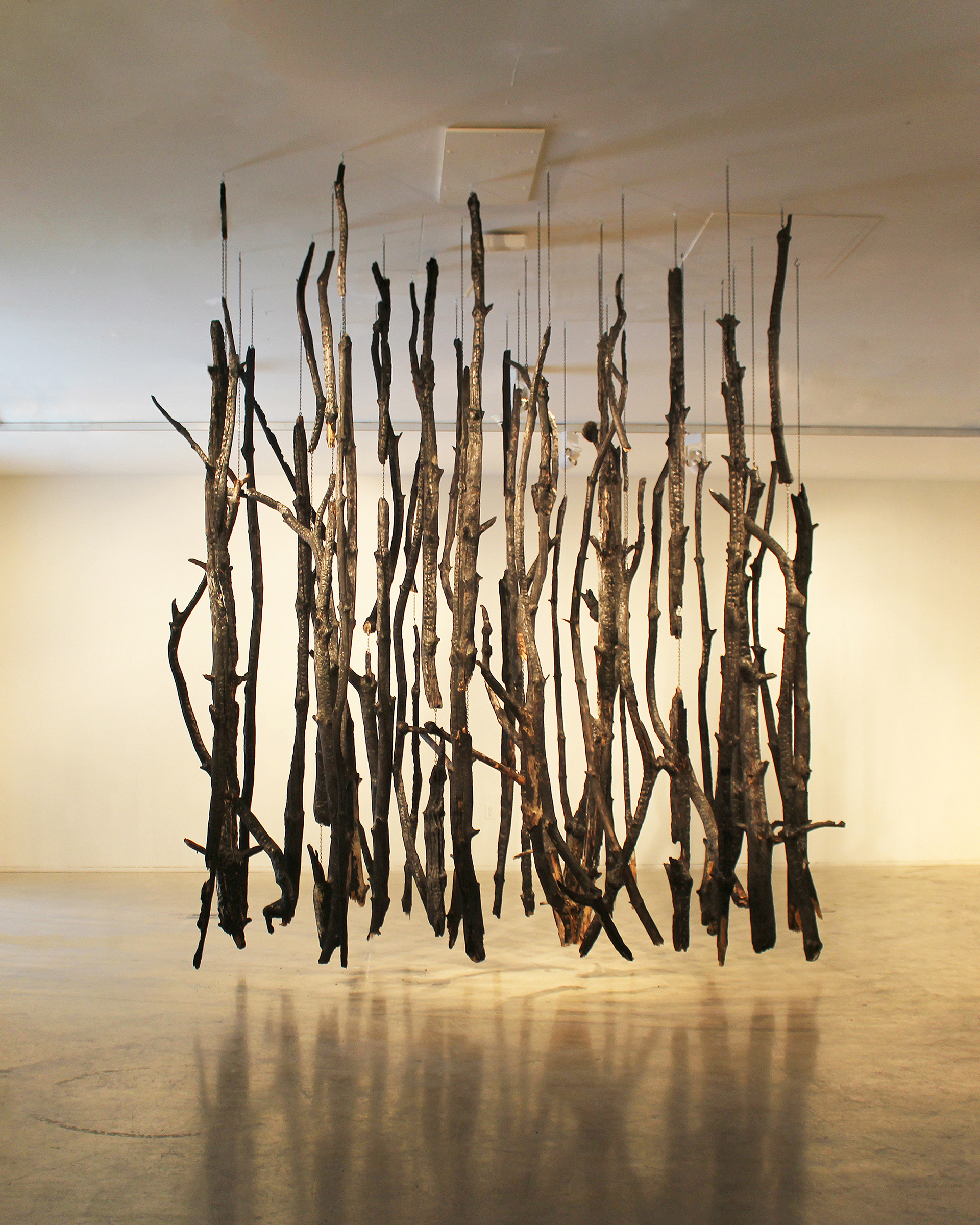 Art Beat: Sustainable Art