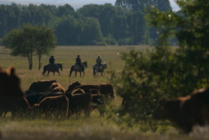 USDA updates programs to increase equity in agriculture - Vimarsana News