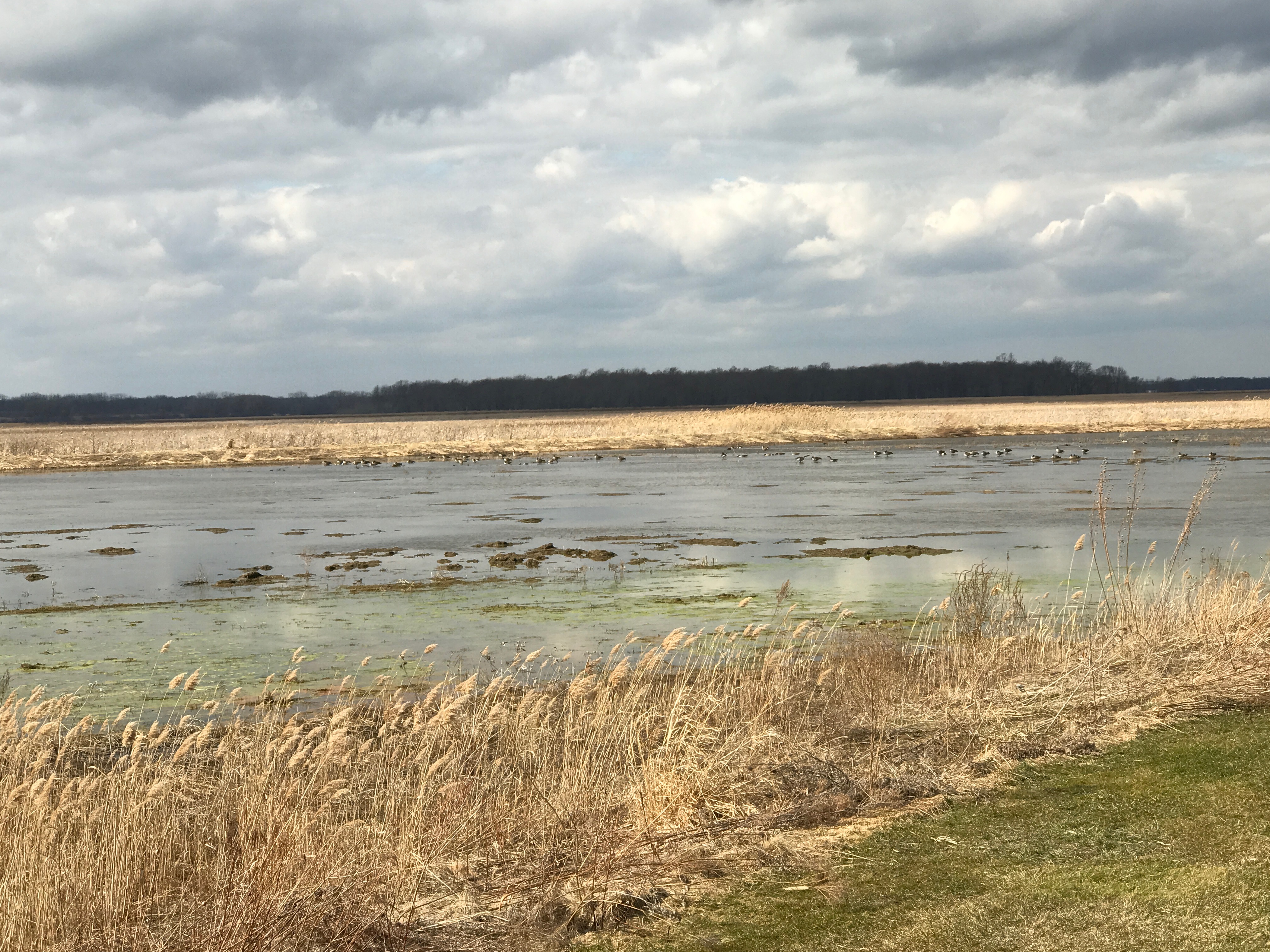 Montezuma National Wildlife Refuge