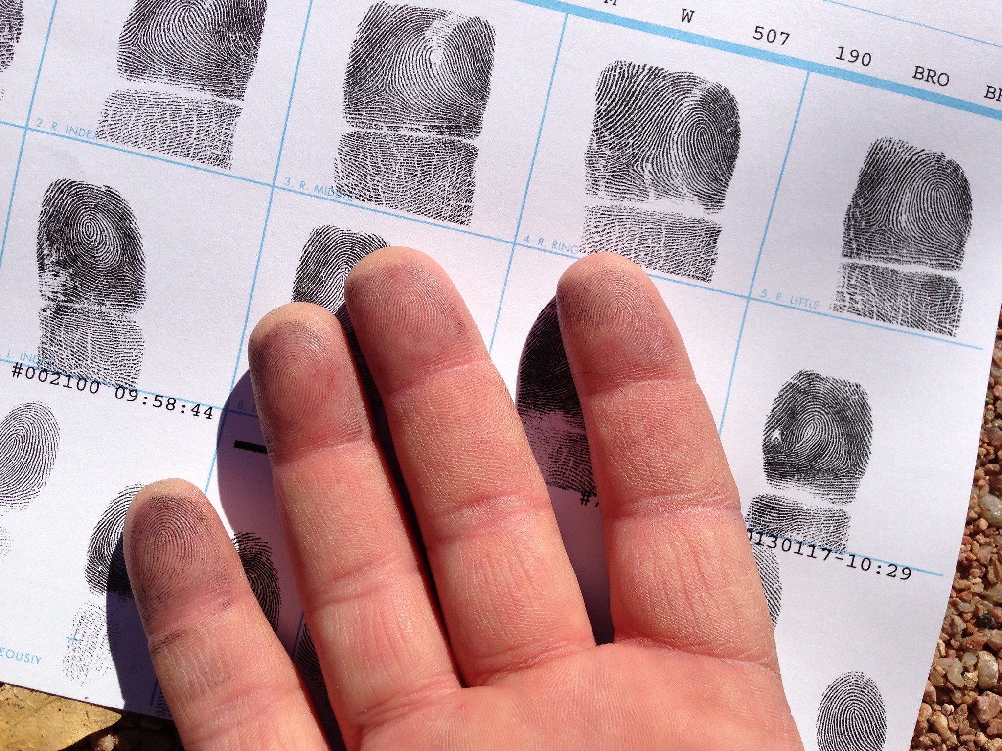 Fingerprinting For FOID Cards Clears IL House | NPR Illinois