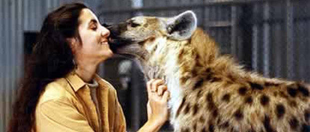 HYENA STATION  Hyenas: Incredibly Intelligent | WUNC