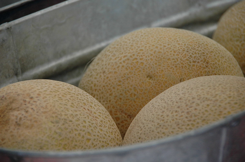 Maryland Melons | WYPR