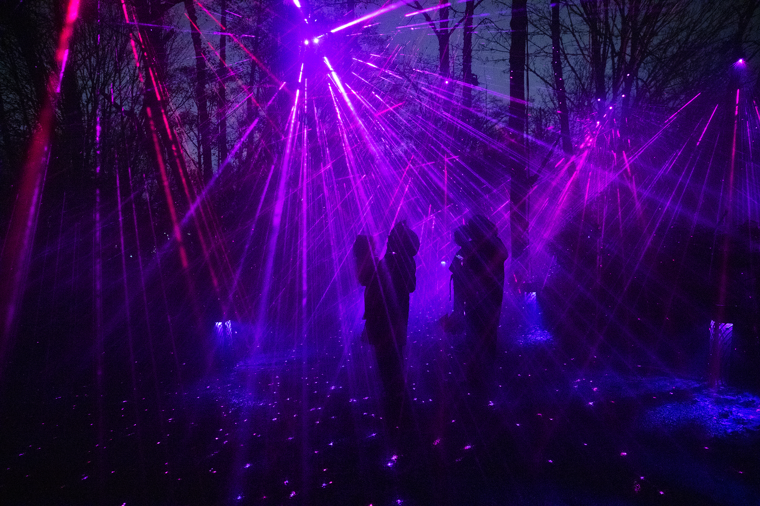PHOTOS: A celestial night walk in West Seattle
