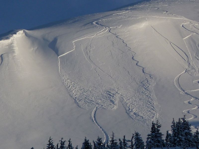 avalanche_2013.Par_.69335.