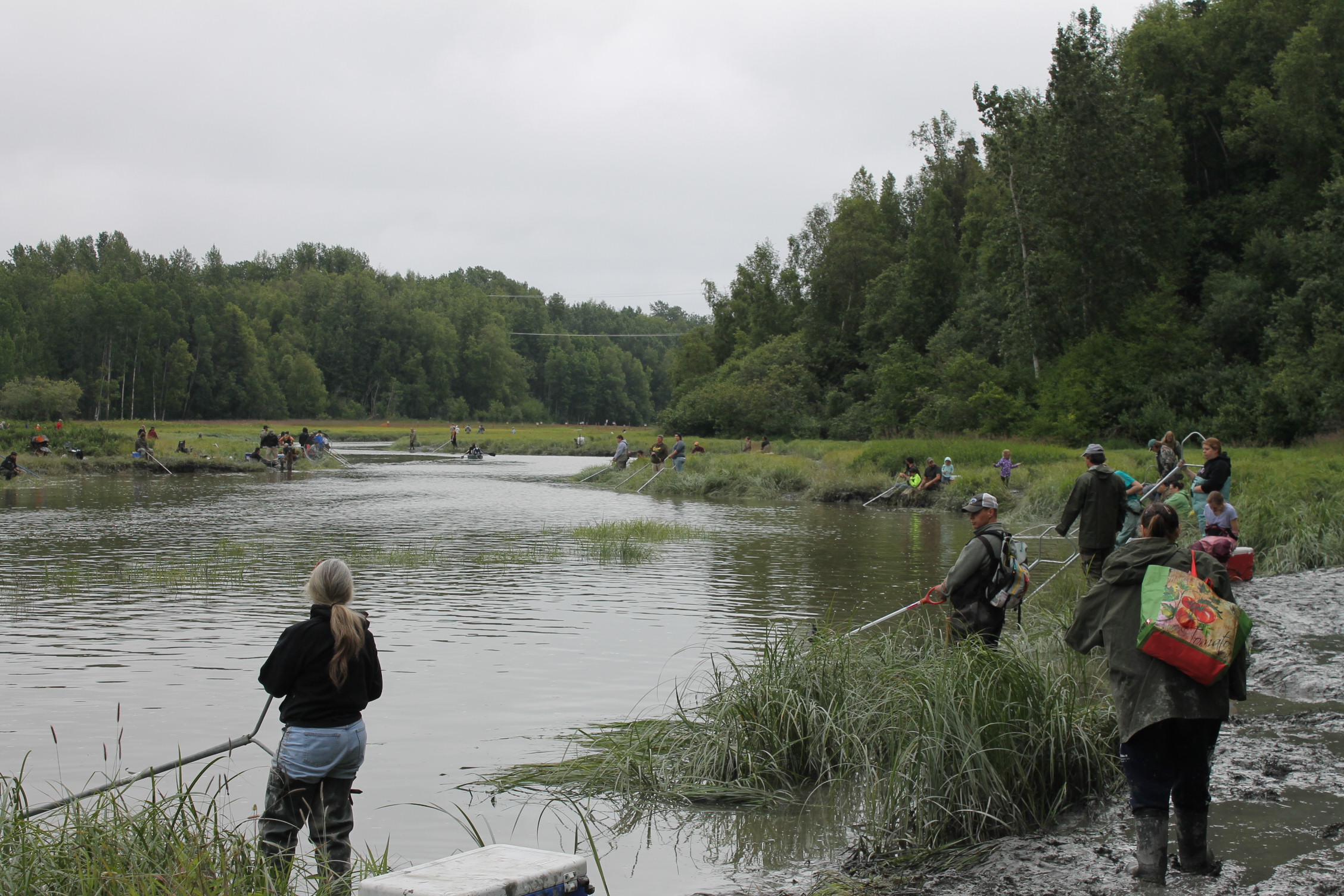 Fish Creek opens for dipnetting, drawing crowds