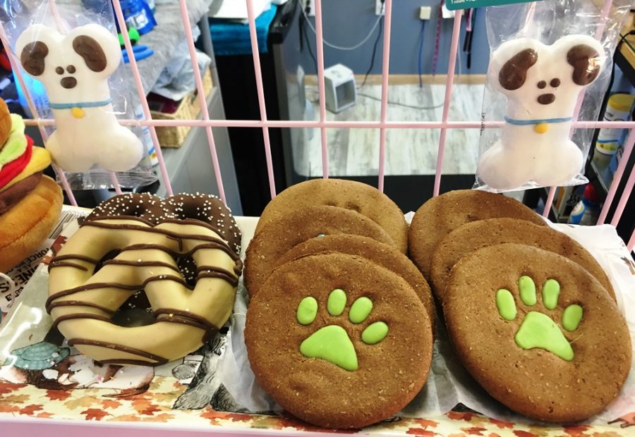 Dog café opens in Ketchikan